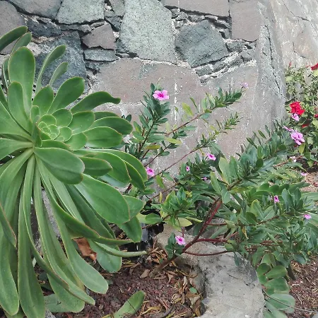 Affittacamere Finca Bella Vista 3*
